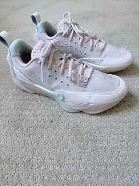 Cherry blossom way of wade all city 13 basketball shoe